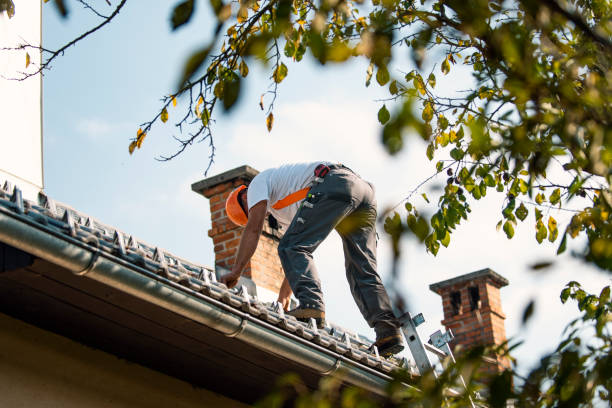 Best Steel Roofing  in York, AL
