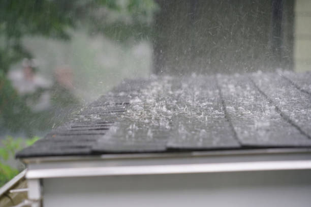 Best Roof Maintenance and Cleaning  in York, AL