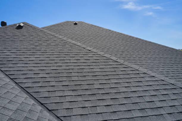 Best Solar Panel Roofing Installation  in York, AL