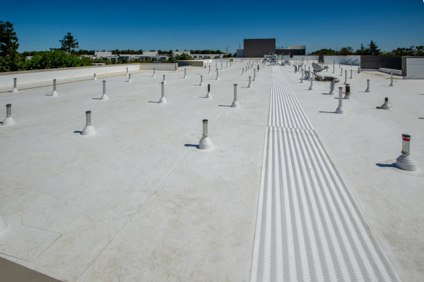 Best Roof Moss and Algae Removal  in York, AL